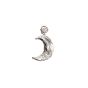 Claire de Lune Earring Silver - Left - Single 
